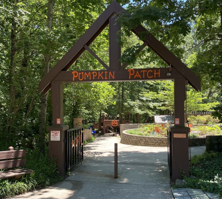 The Pumpkin Patch Playground (Signal&nbspMountain,&nbspTN)